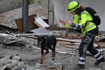 reševalni pes na ruševini